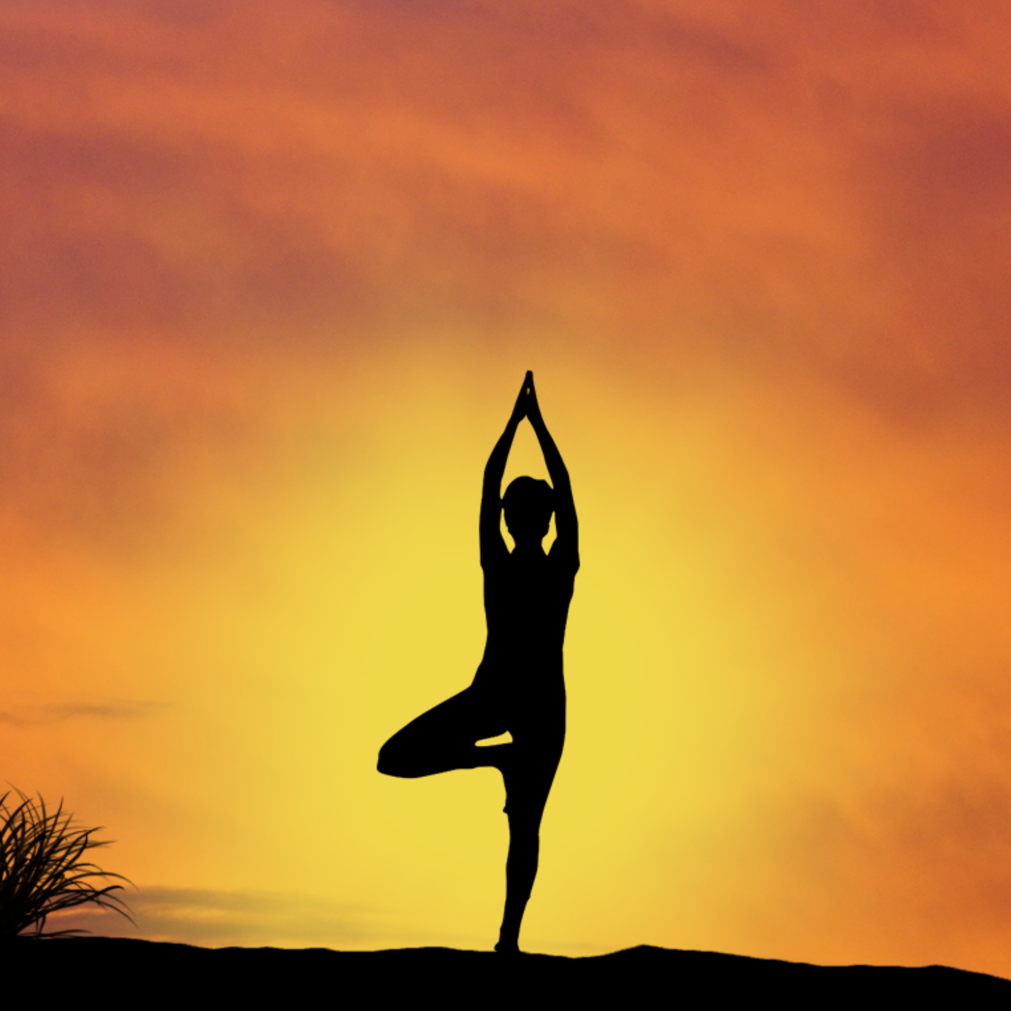 Yoga Tree Pose at Sunrise